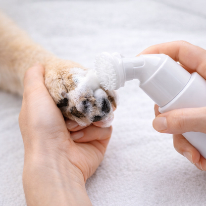 PUREPAWS – Pfotenreinigungs-Schaum
